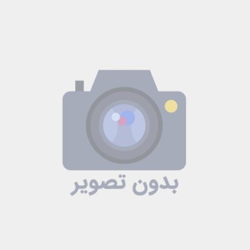 یک چمدان بهار